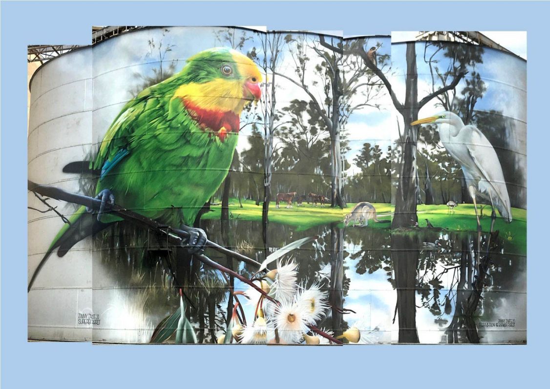 Painted images of kookaburra on the side of a silo